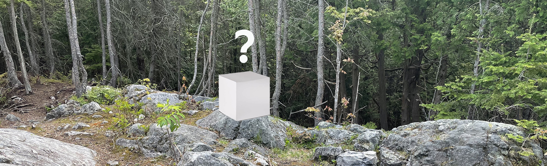 VOIR À L'EST au cube