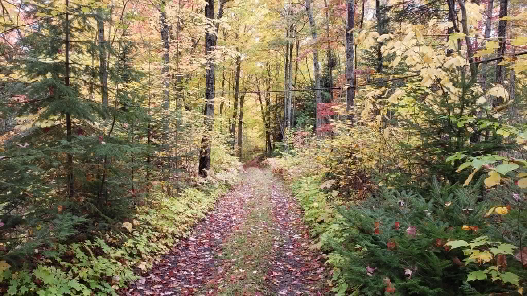 Charles-Étienne Dumont