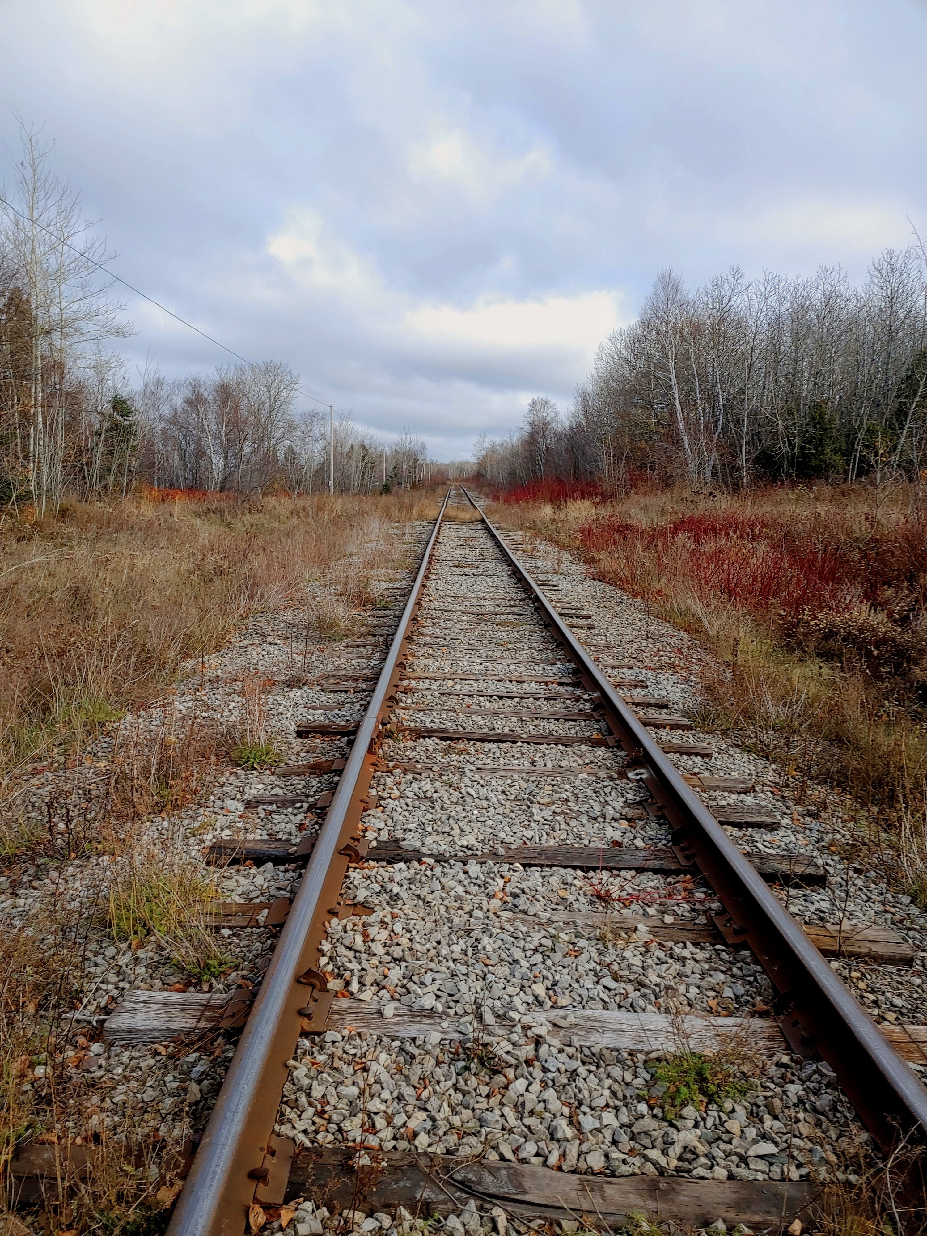 Gabrielle Soucy Phung