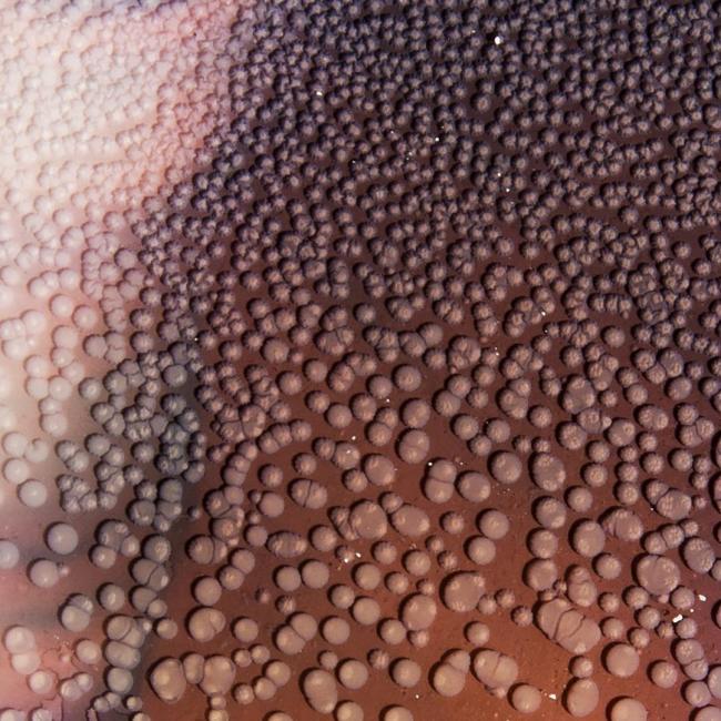 Geneviève Thibault, Objets de nouveau