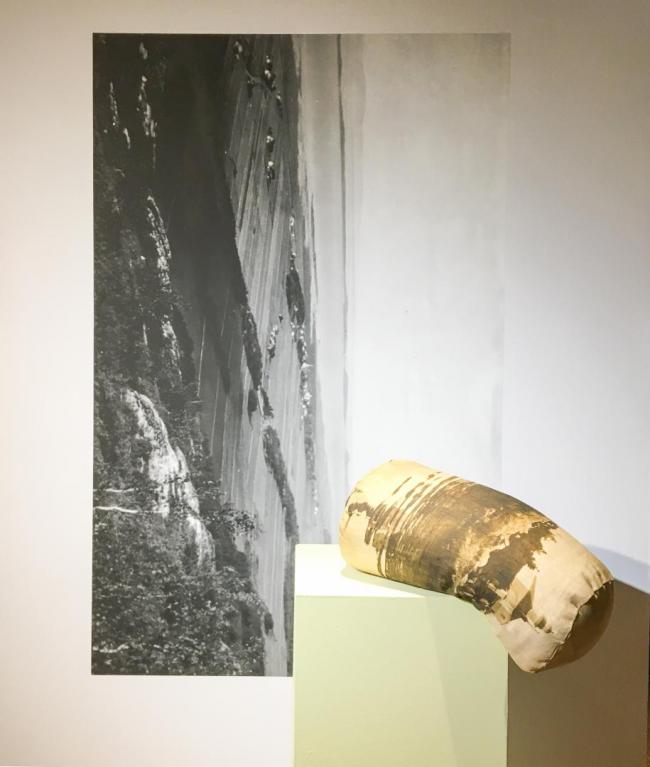 Détail de l'exposition Histoire d'archives molles