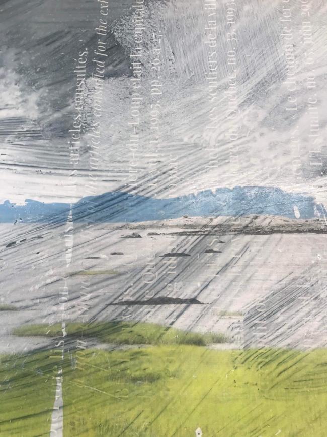 Recherche pour le projet Fleuve à colorier, Chloé Giroux-Bertrand