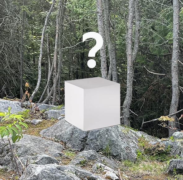 VOIR À l'EST au cube